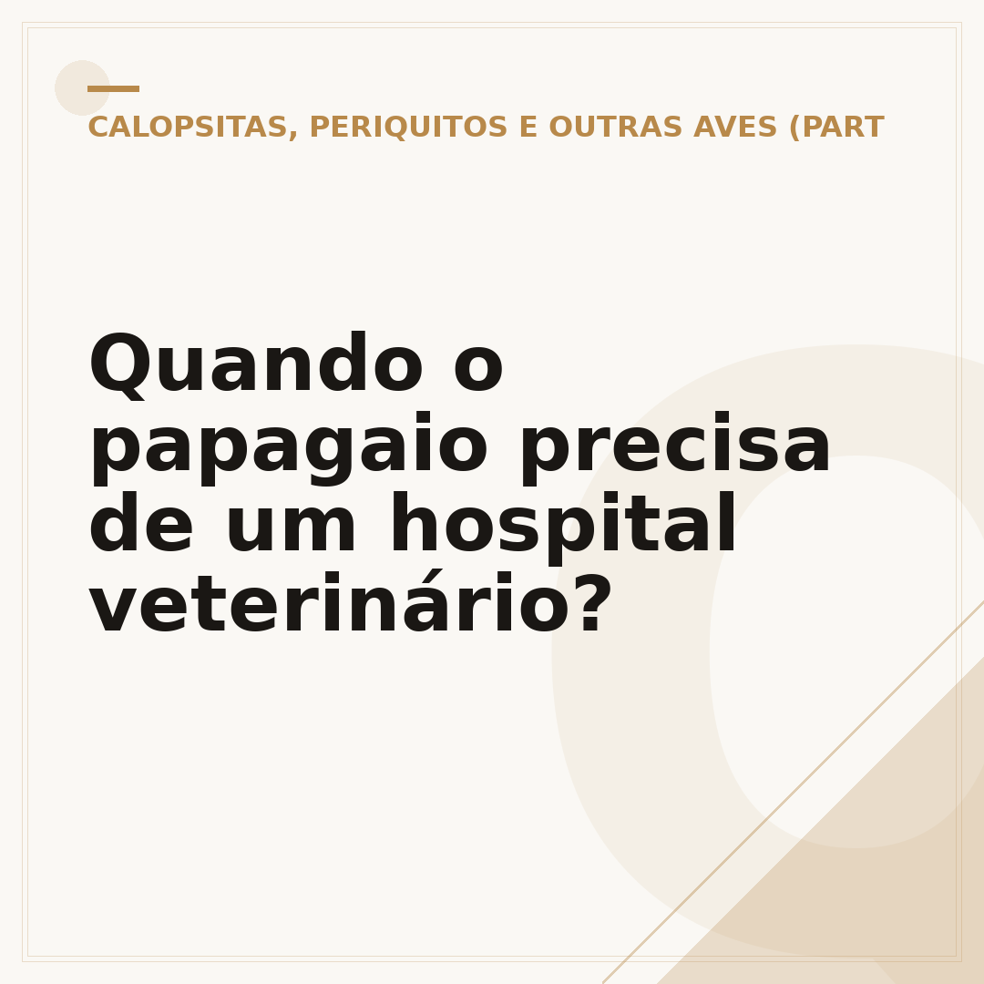 Quando o papagaio precisa de um hospital veterinário?