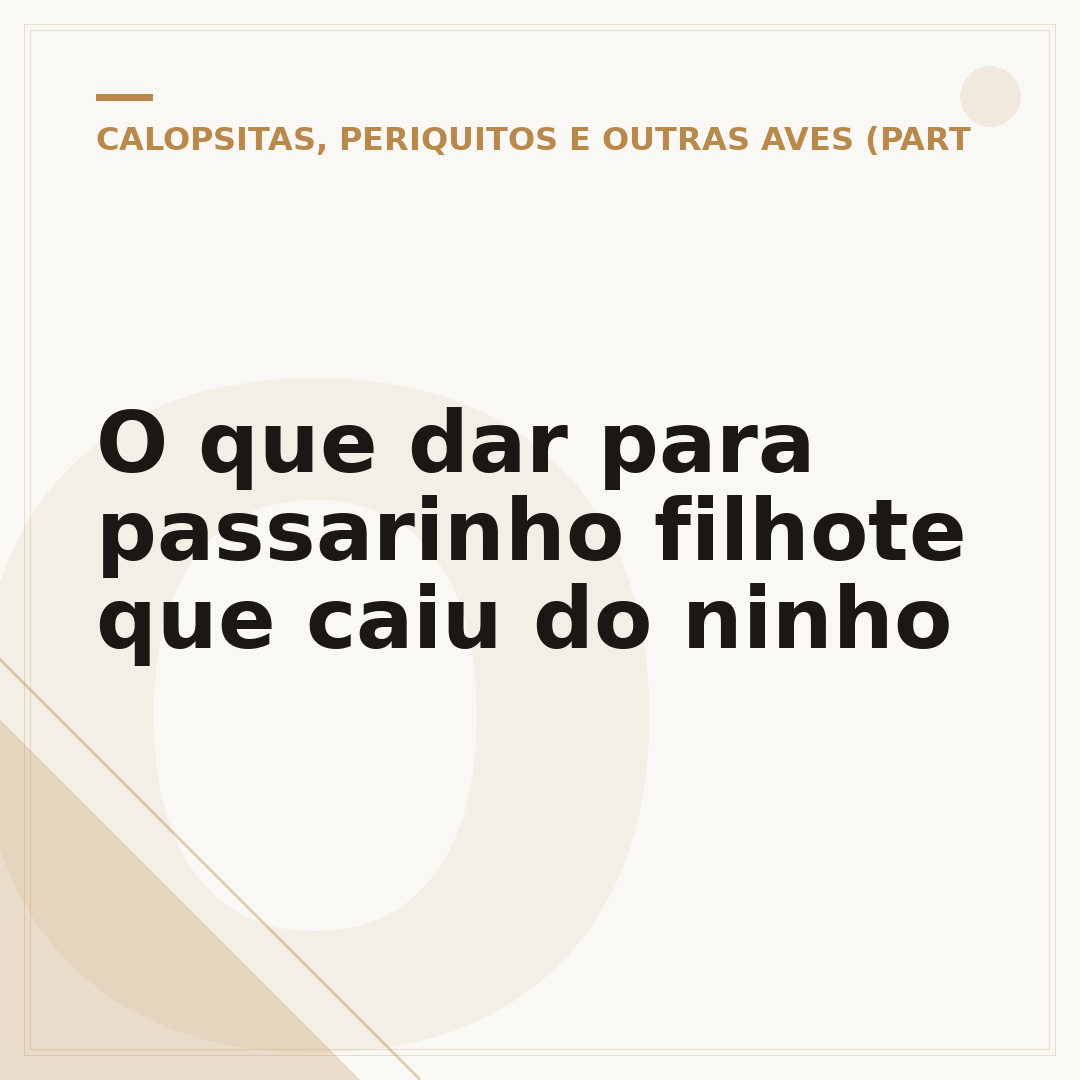 O que dar para passarinho filhote que caiu do ninho