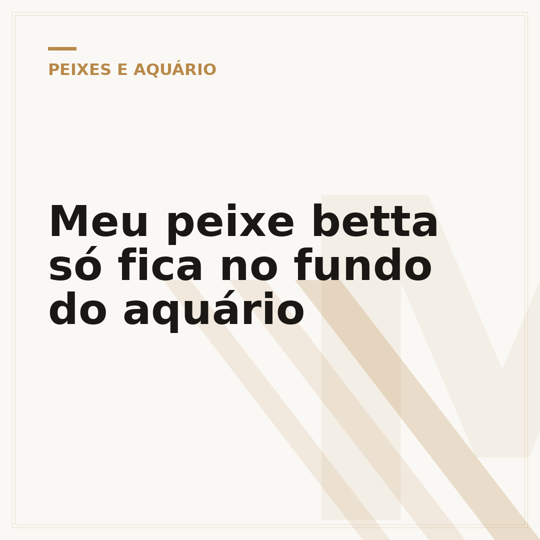 Meu peixe betta só fica no fundo do aquário