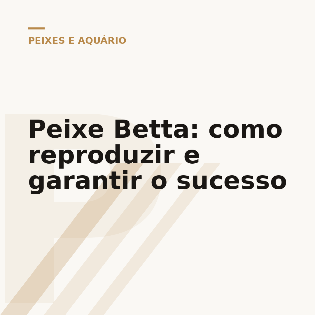Peixe Betta: como reproduzir e garantir o sucesso