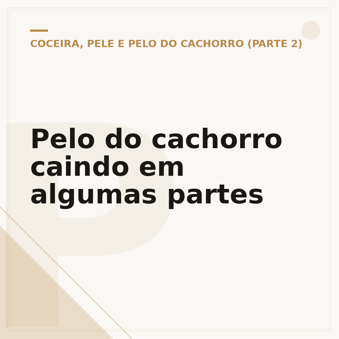 Pelo do cachorro caindo em algumas partes