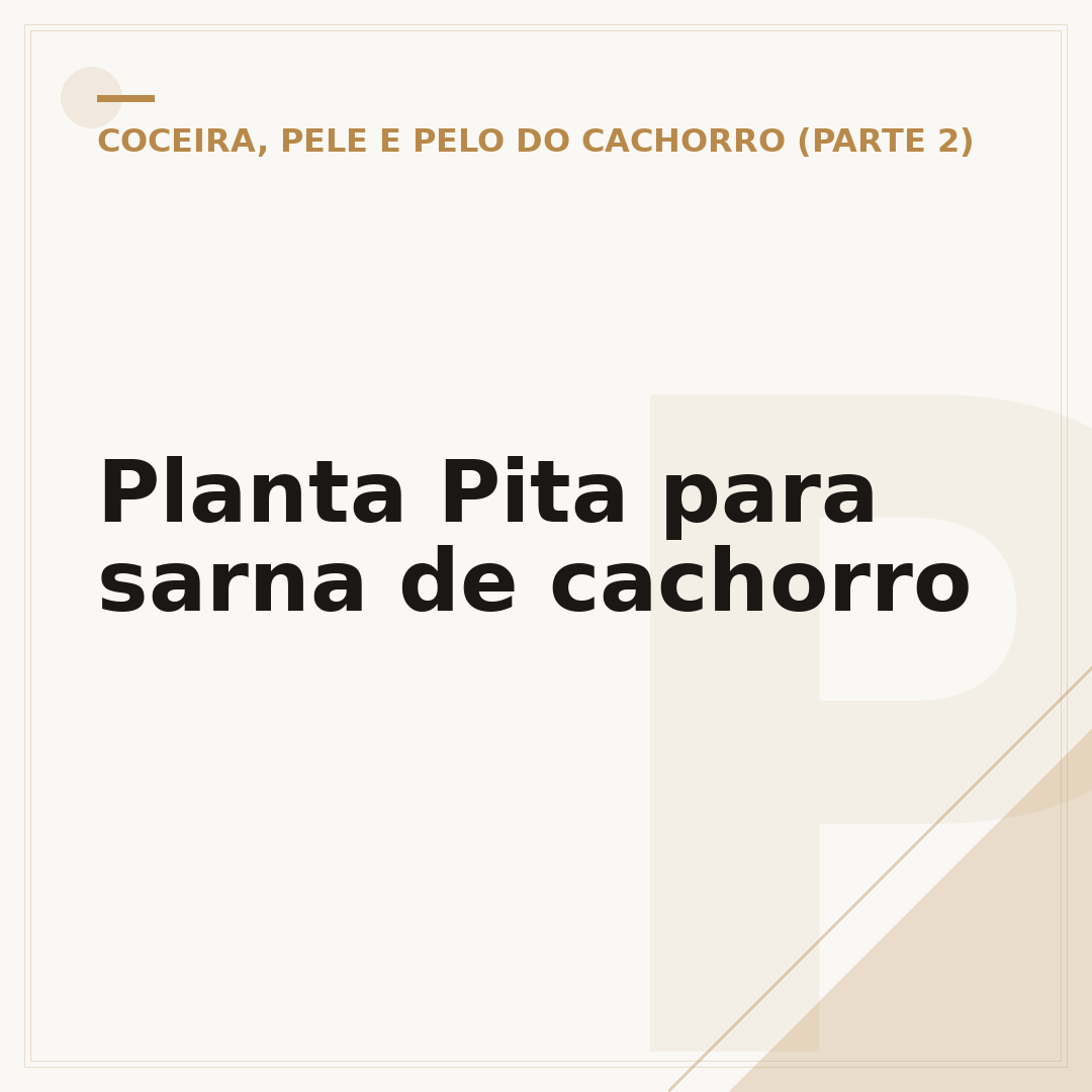 Planta Pita para sarna de cachorro