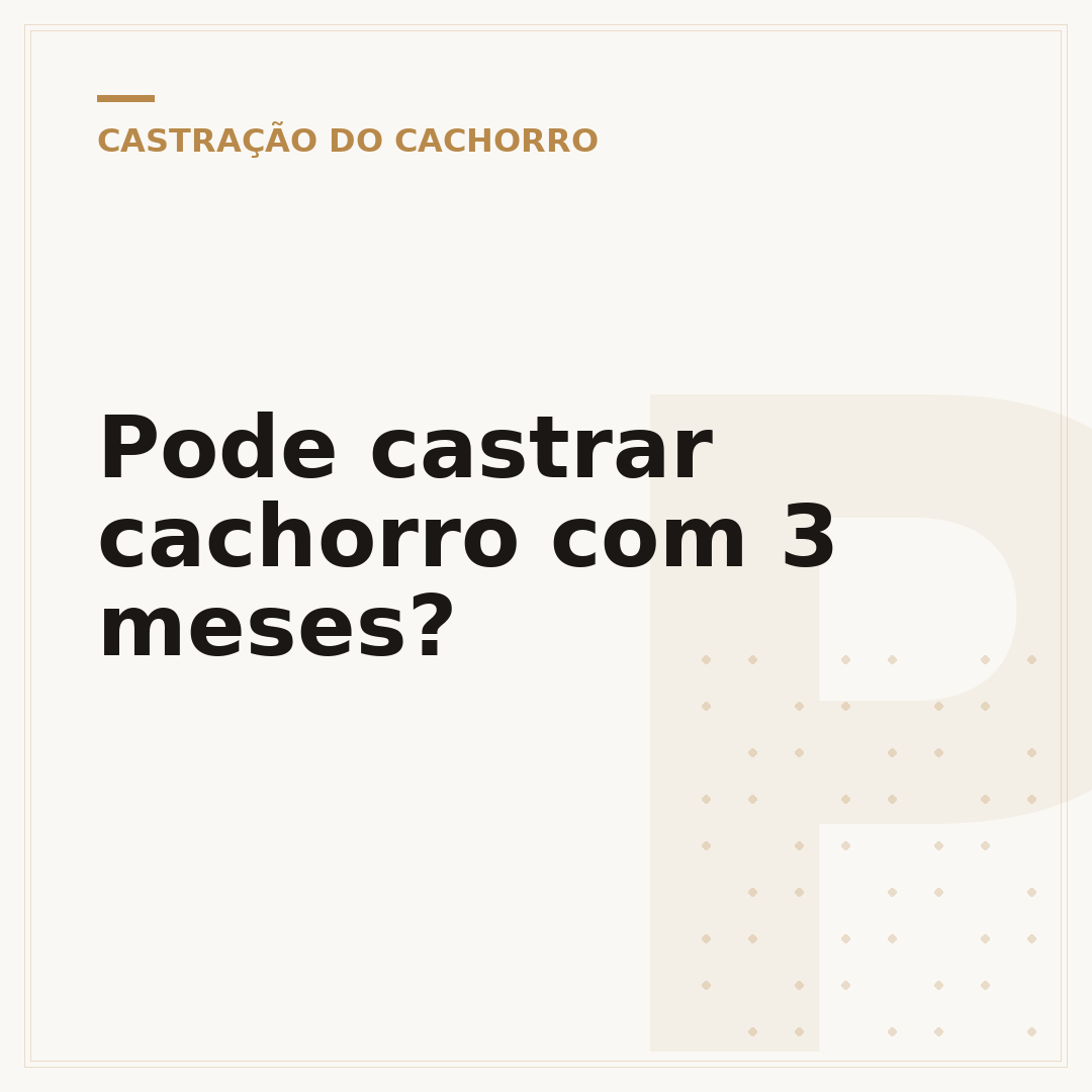 Pode castrar cachorro com 3 meses?