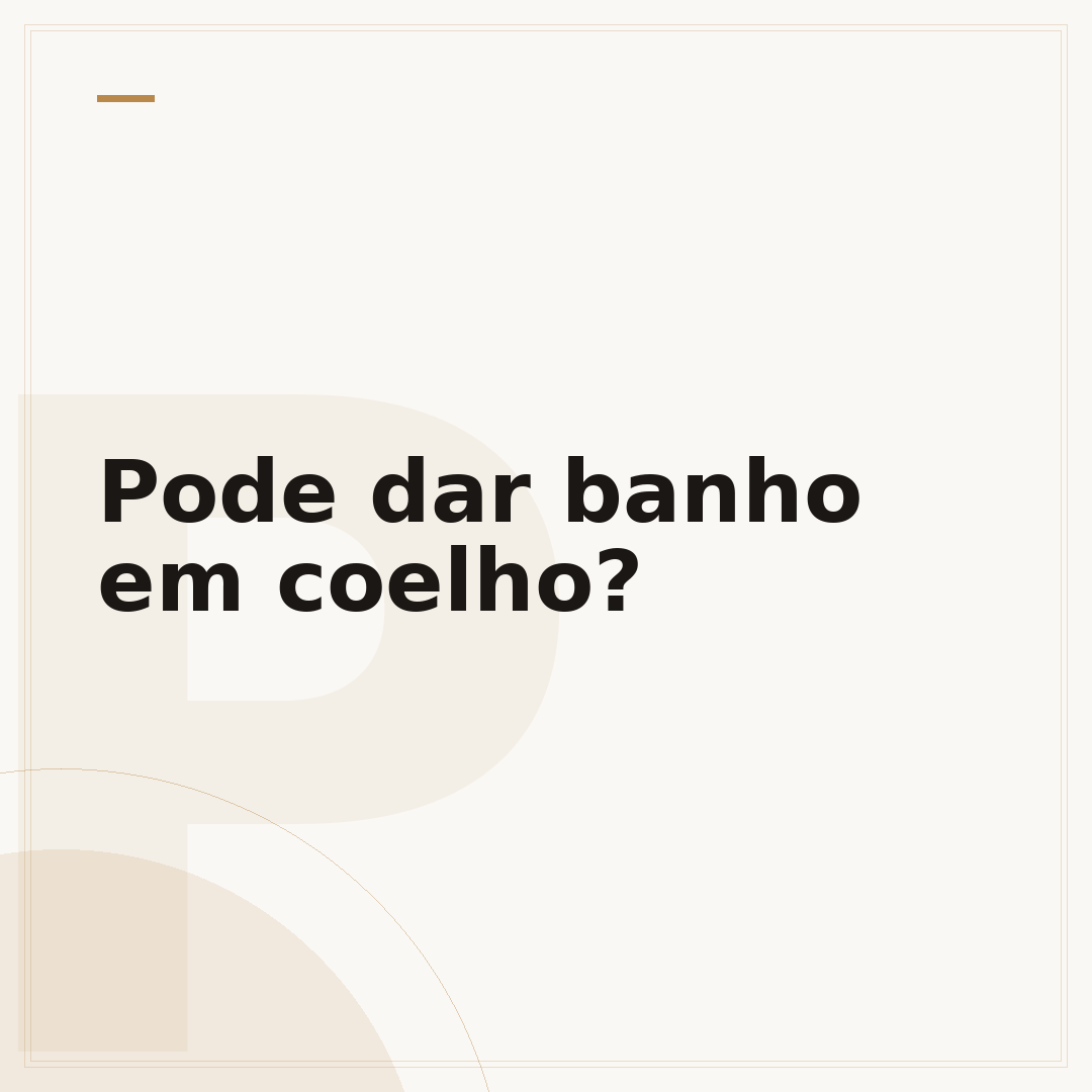 Pode dar banho em coelho?