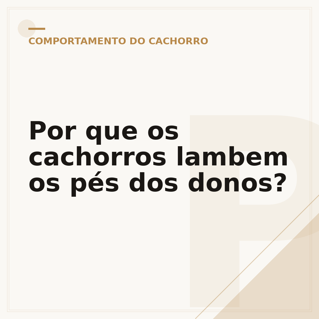 Por que os cachorros lambem os pés dos donos?