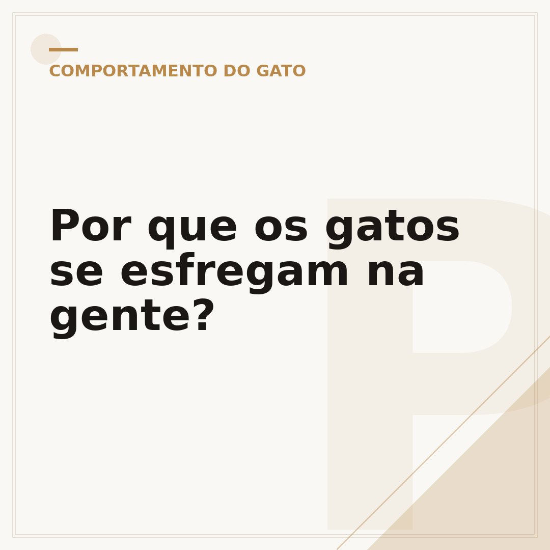 Por que os gatos se esfregam na gente?