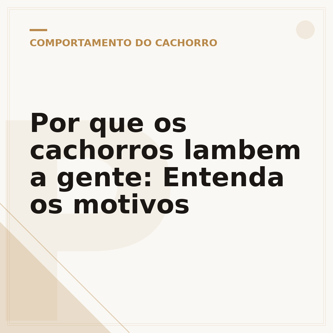Por que os cachorros lambem a gente: Entenda os motivos