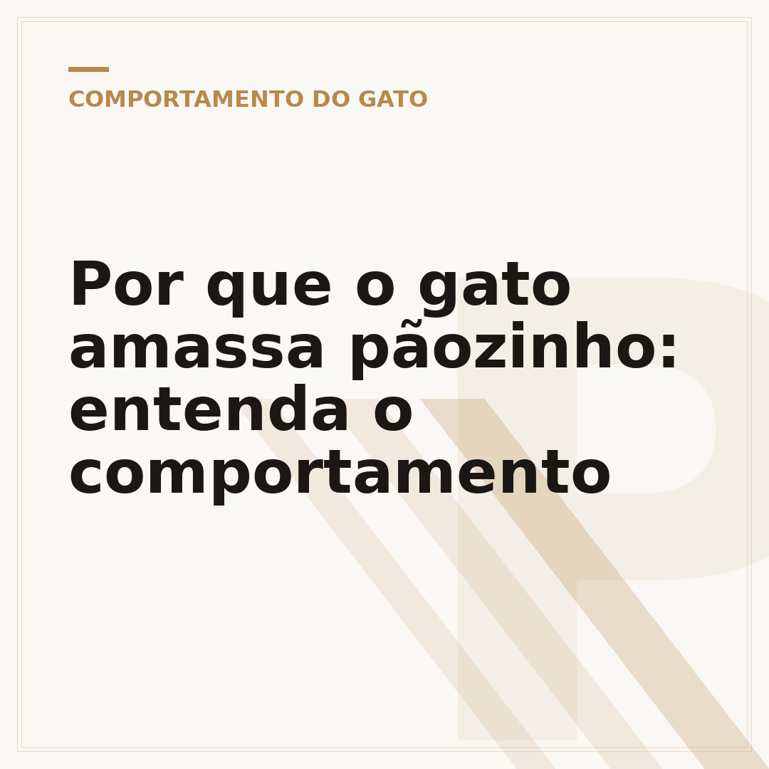 Por que o gato amassa pãozinho: entenda o comportamento