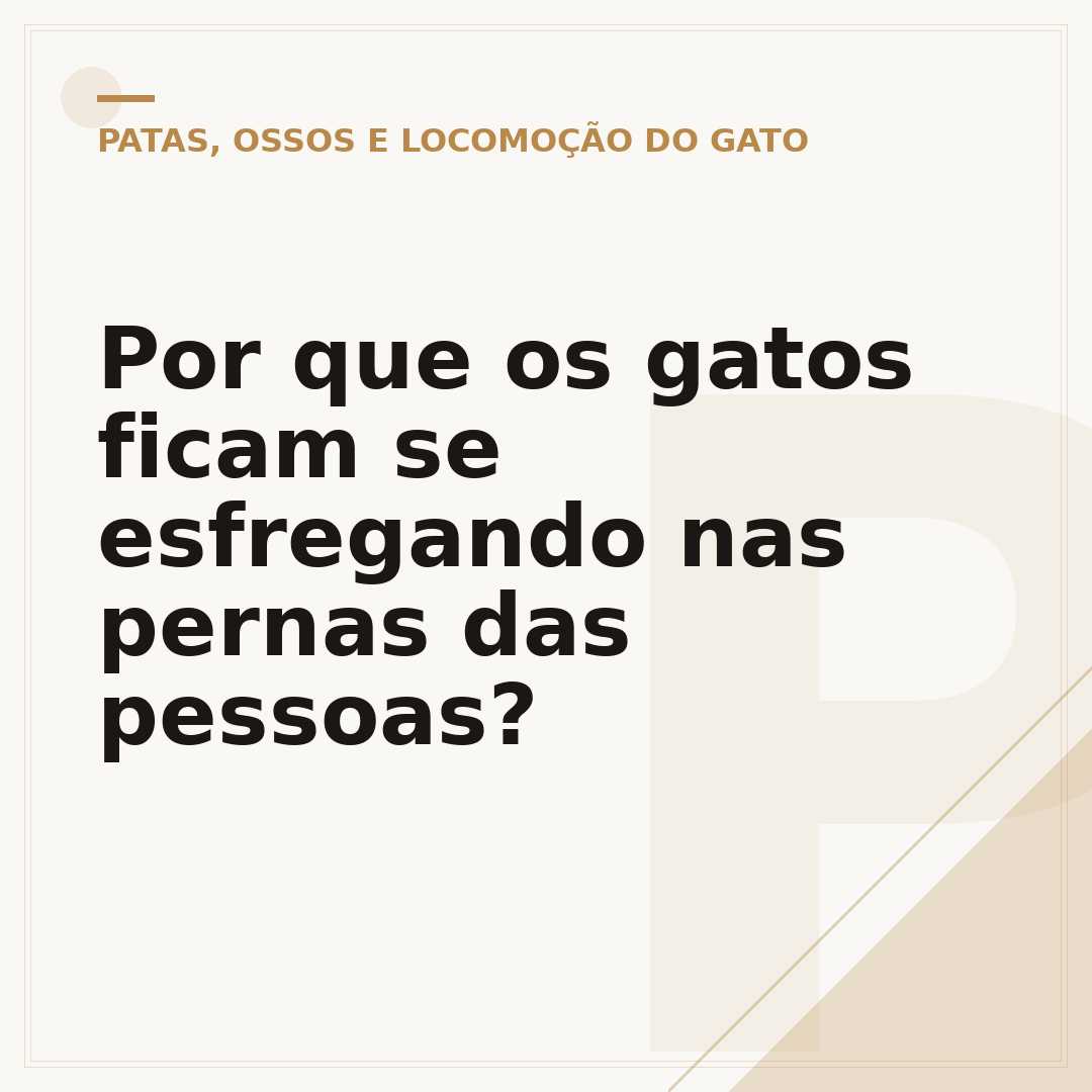 Por que os gatos ficam se esfregando nas pernas das pessoas?