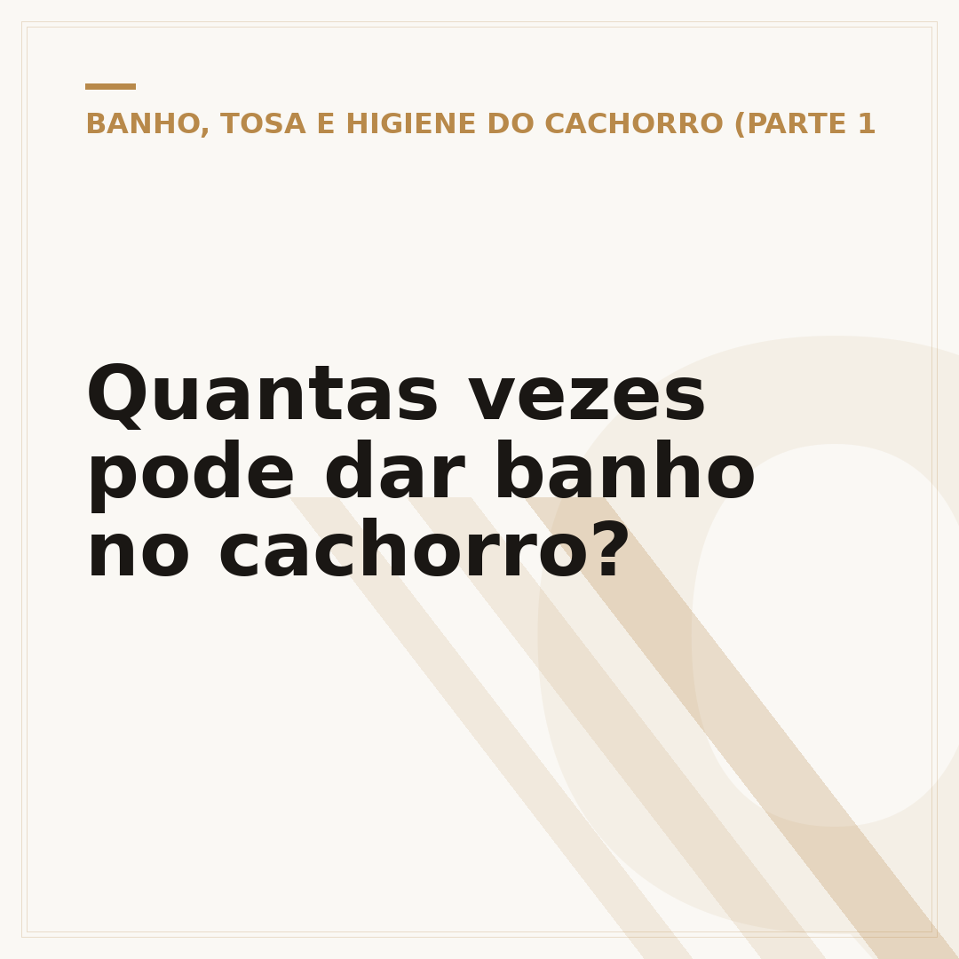 Quantas vezes pode dar banho no cachorro?