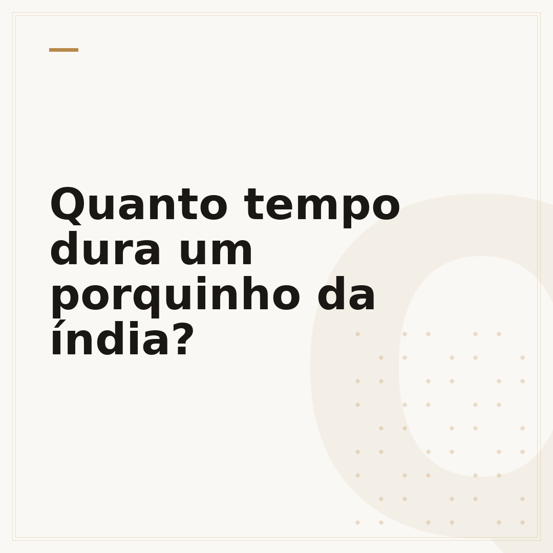 Quanto tempo dura um porquinho da índia?