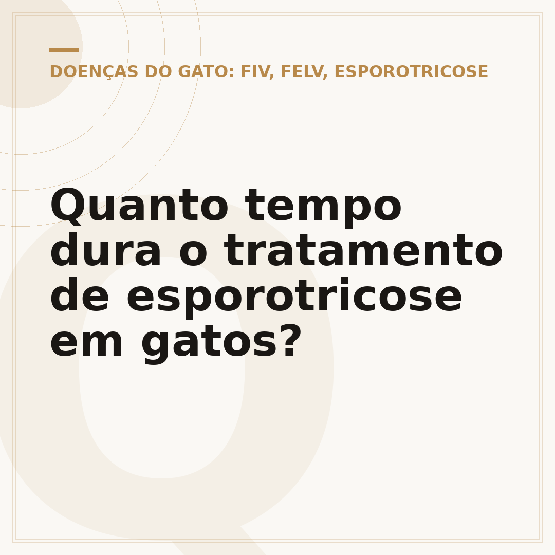 Quanto tempo dura o tratamento de esporotricose em gatos?