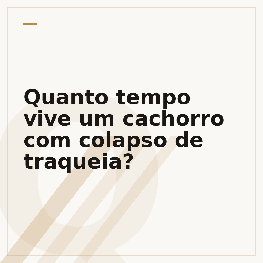 Quanto tempo vive um cachorro com colapso de traqueia?