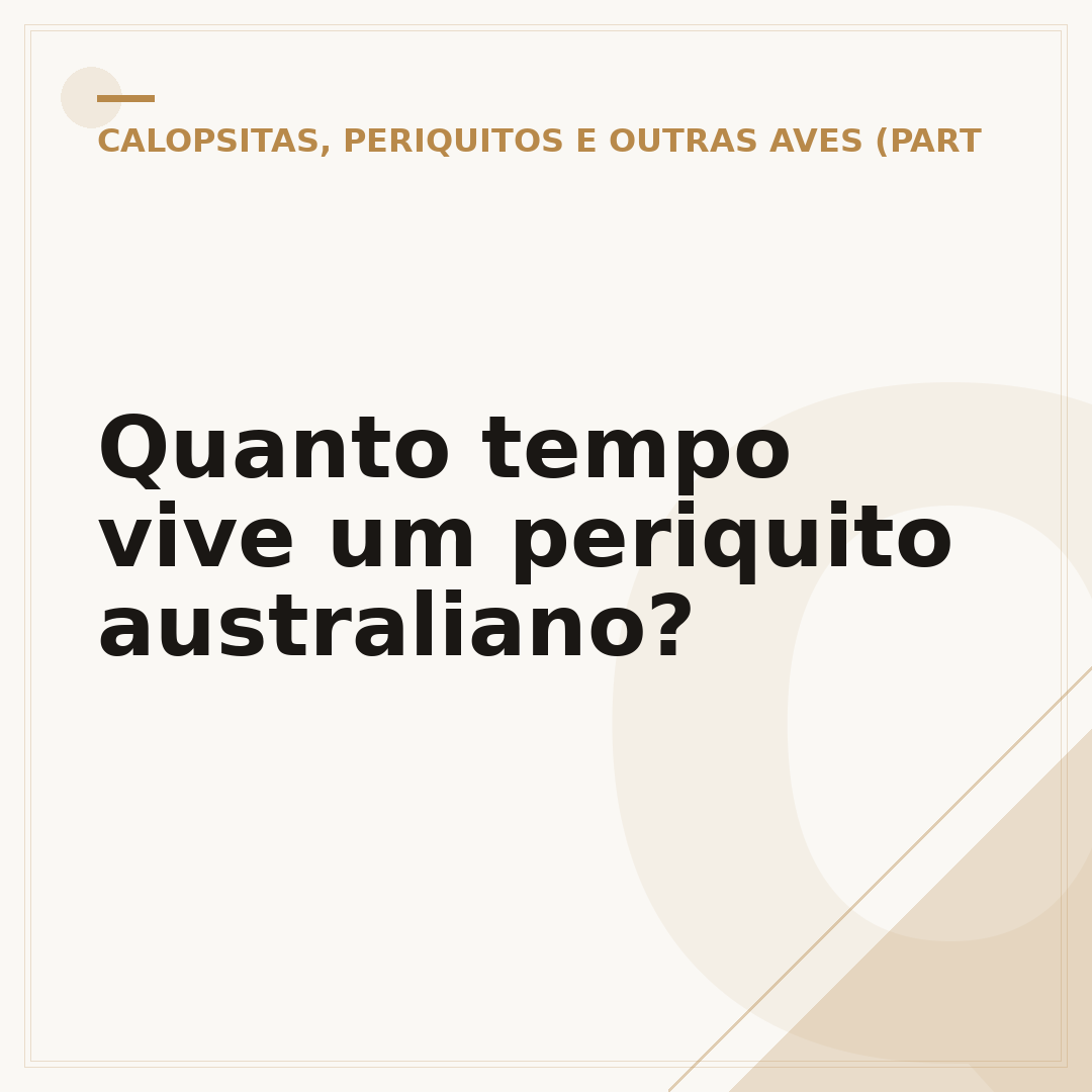 Quanto tempo vive um periquito australiano?