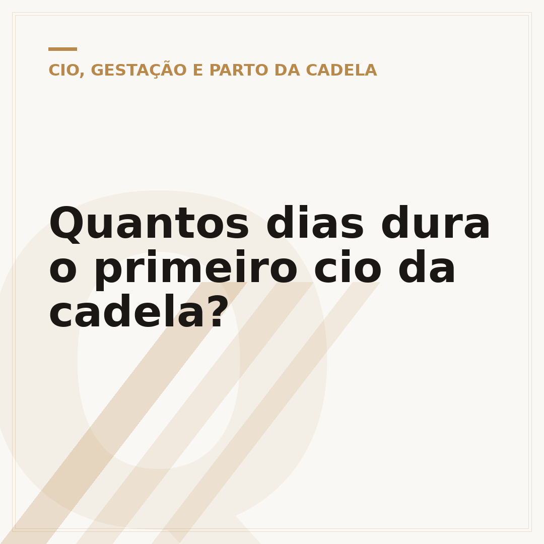 Quantos dias dura o primeiro cio da cadela?