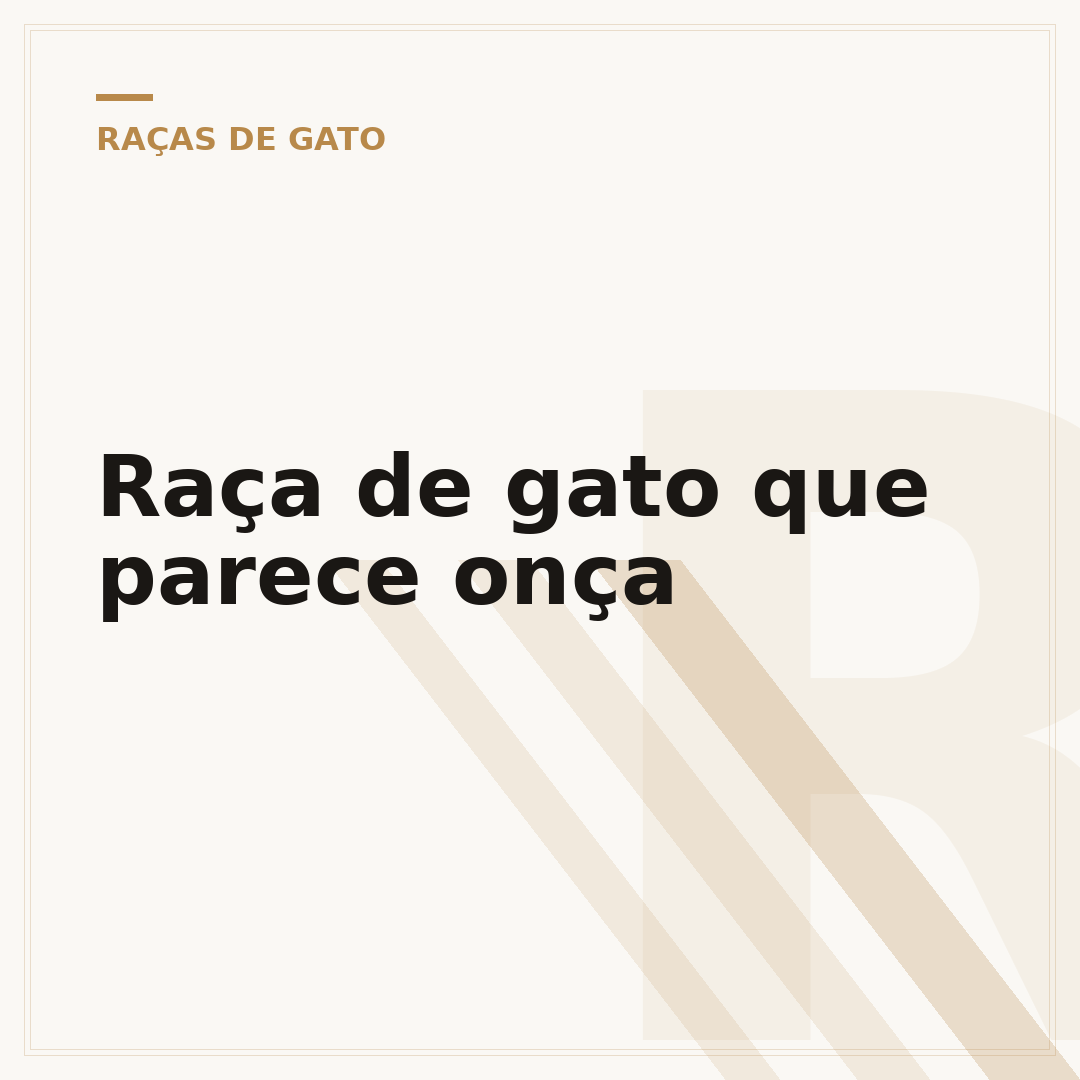 Raça de gato que parece onça
