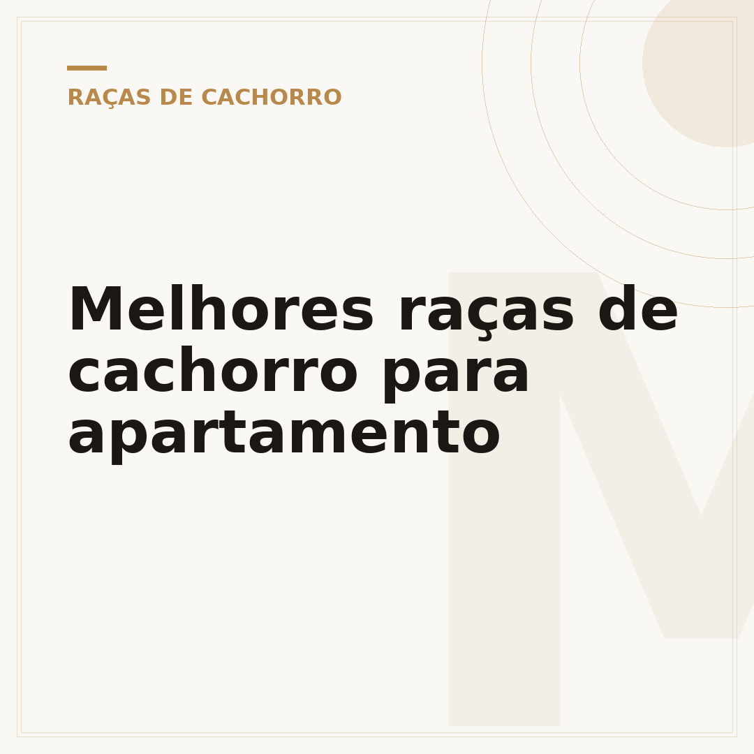 Melhores raças de cachorro para apartamento