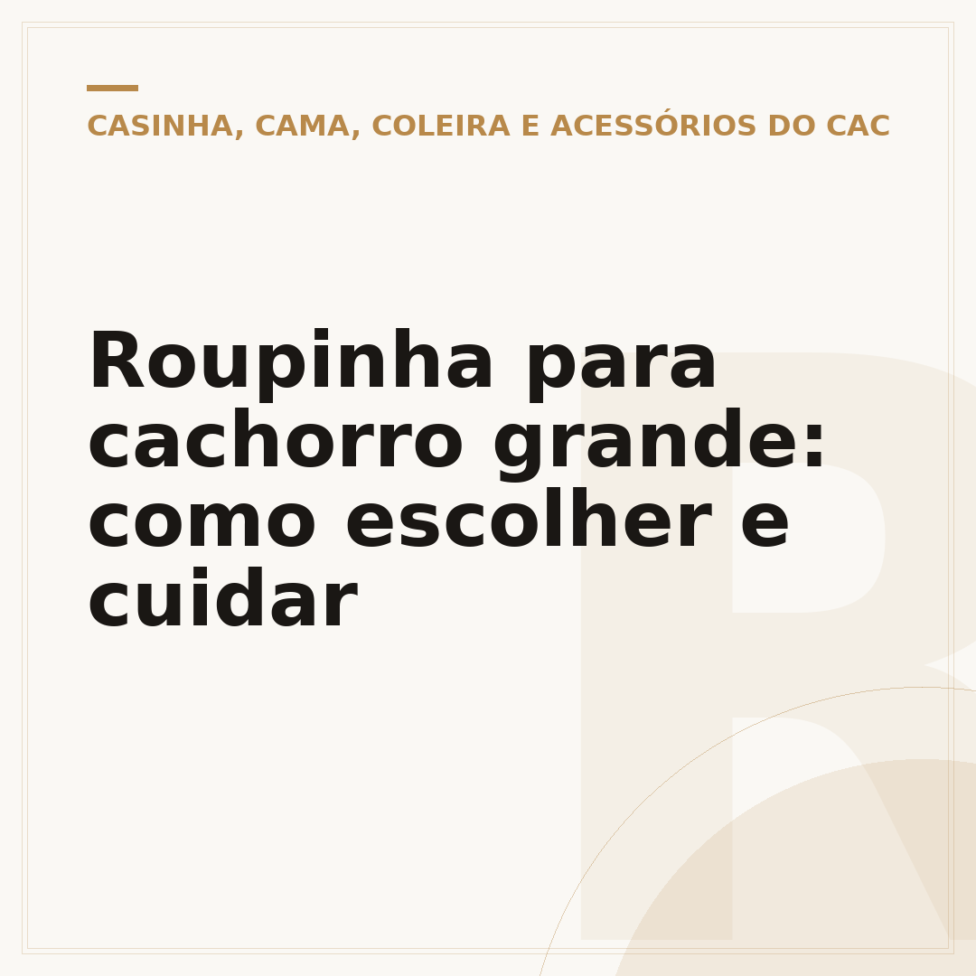 Roupinha para cachorro grande: como escolher e cuidar