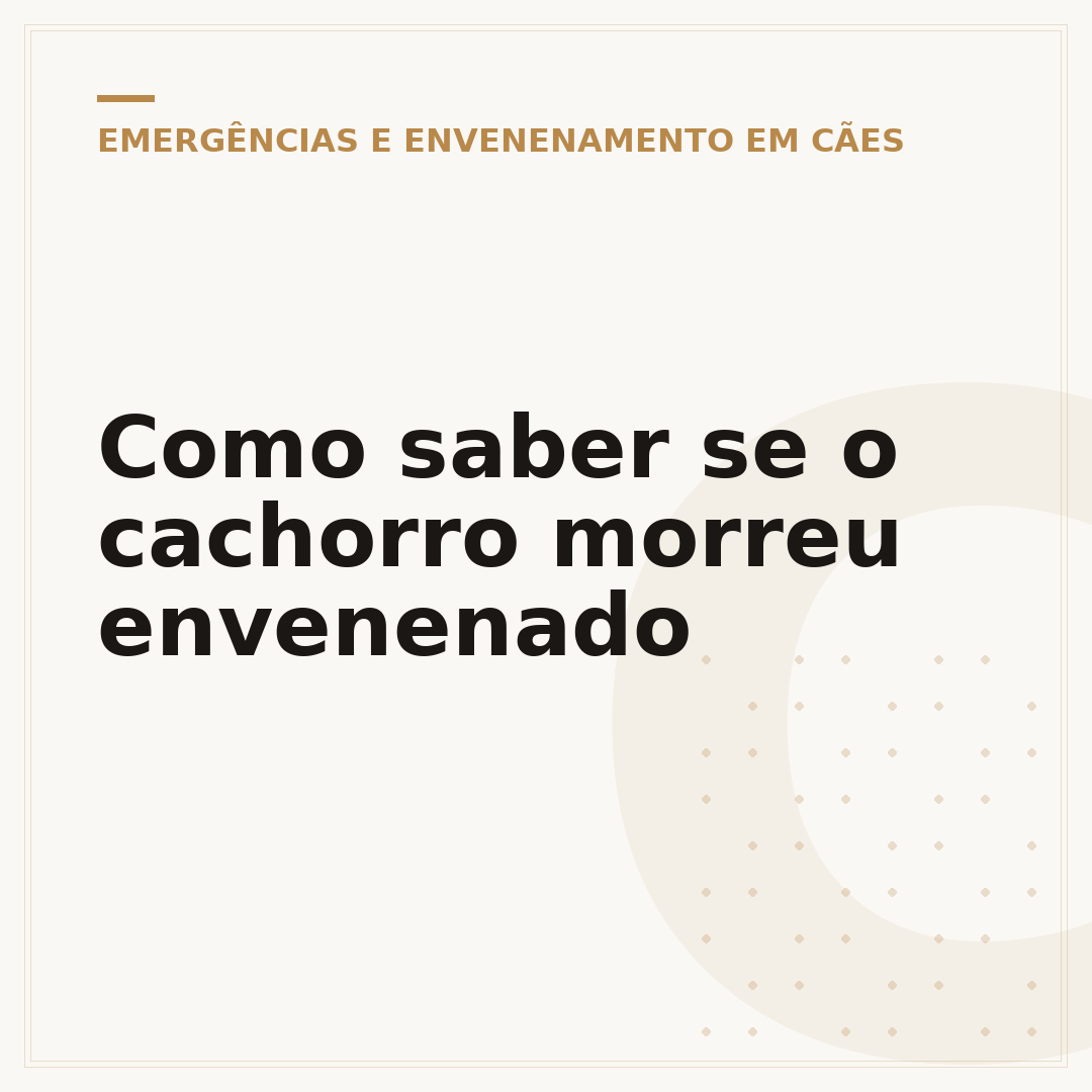 Como saber se o cachorro morreu envenenado