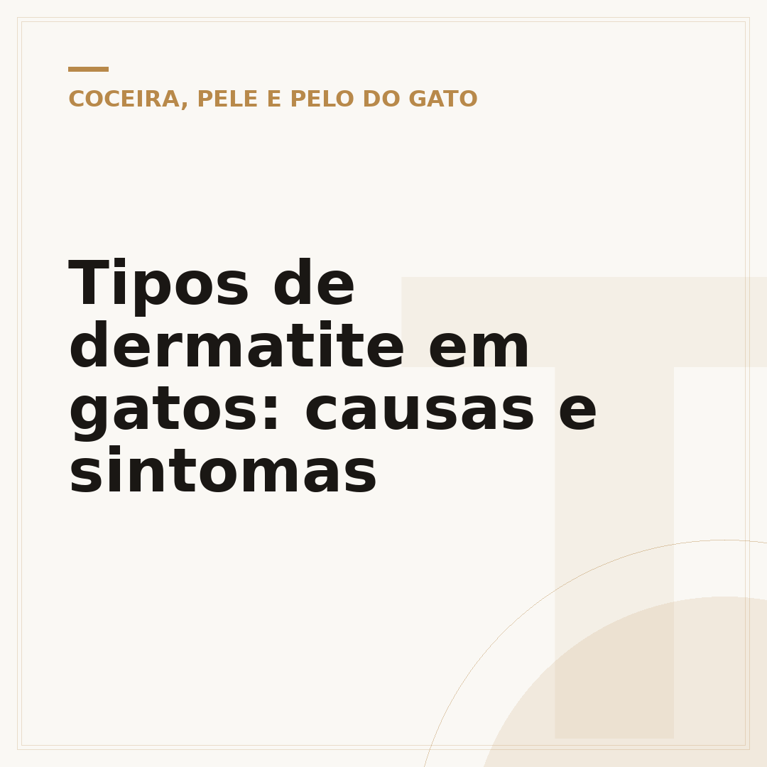 Tipos de dermatite em gatos: causas e sintomas