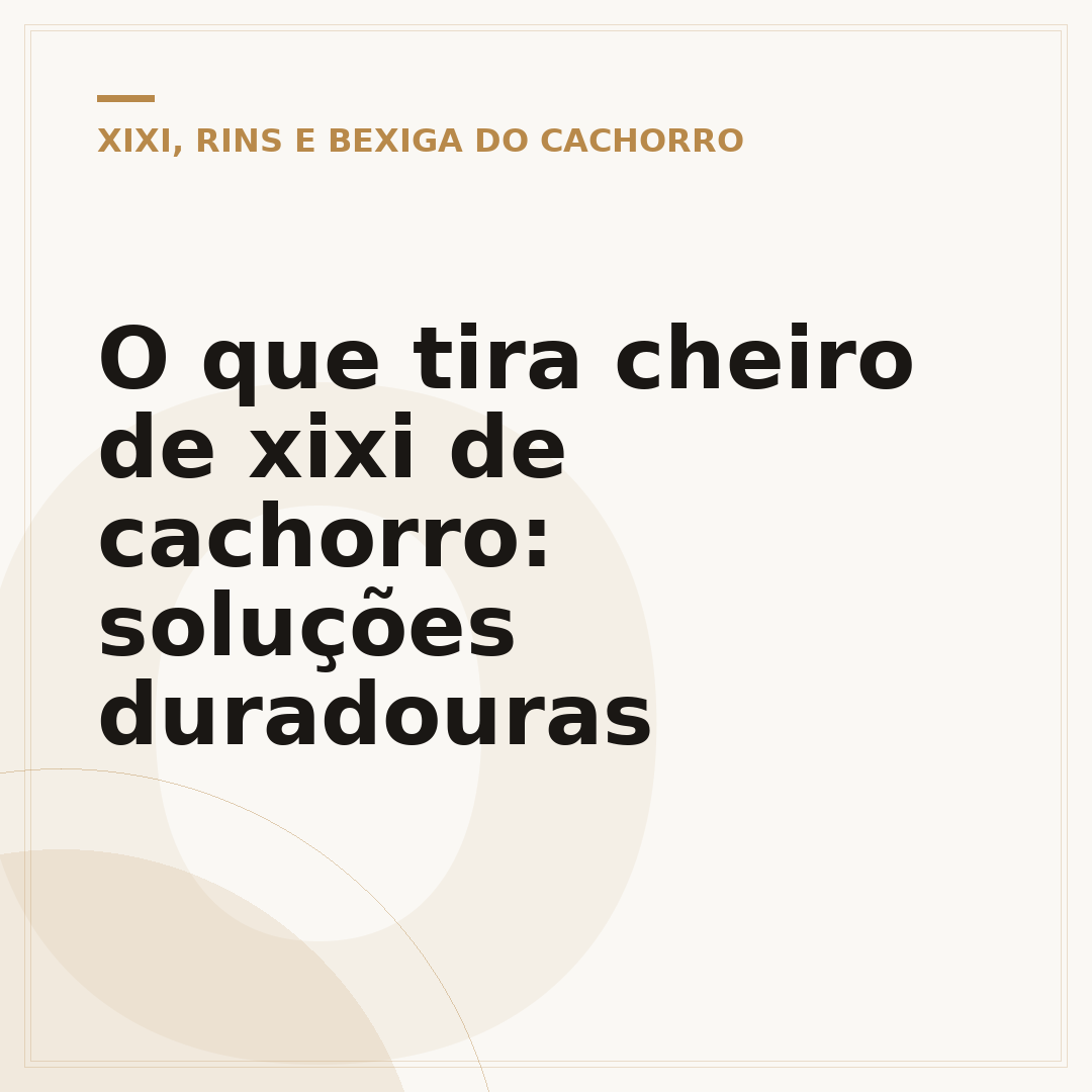 O que tira cheiro de xixi de cachorro: soluções duradouras