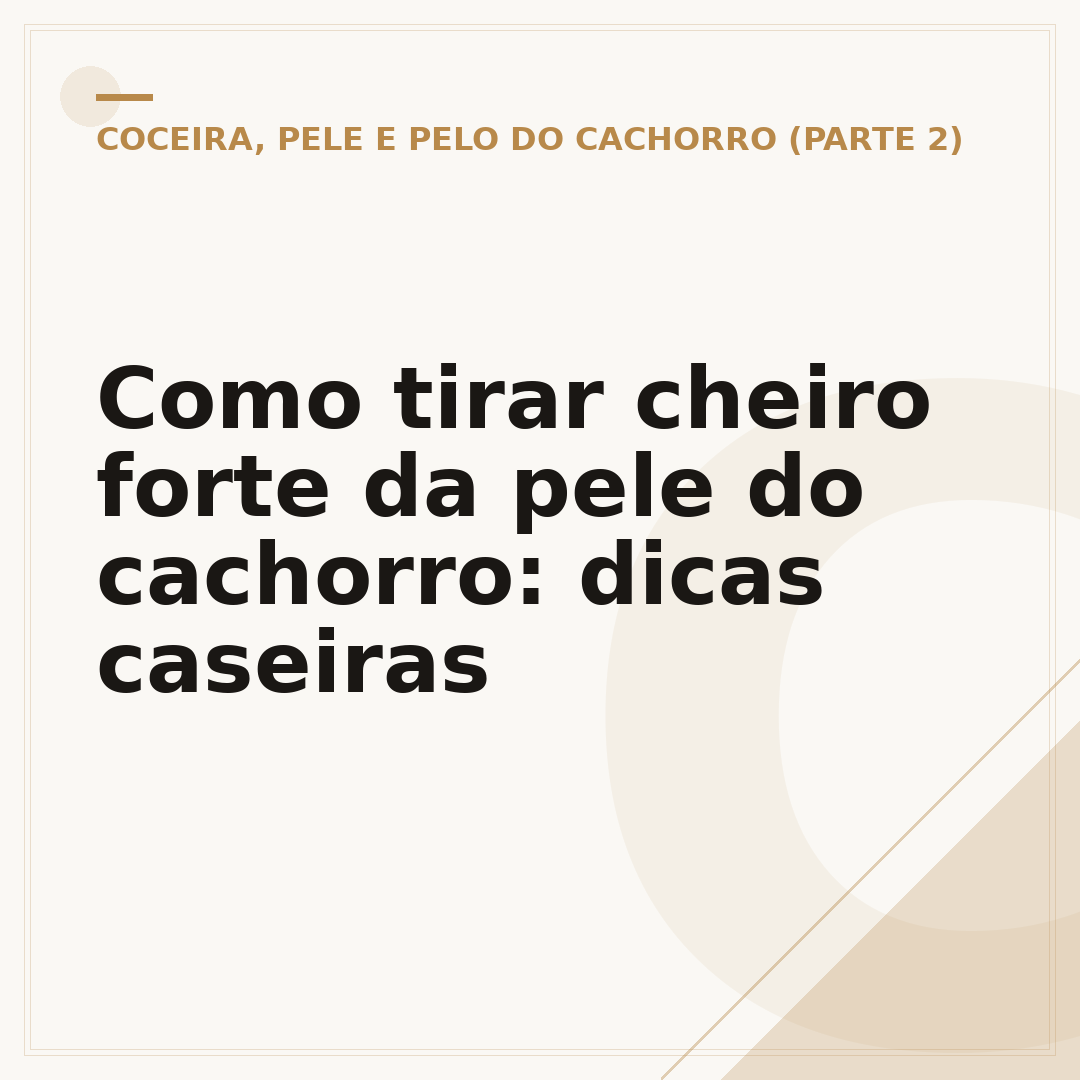 Como tirar cheiro forte da pele do cachorro: dicas caseiras