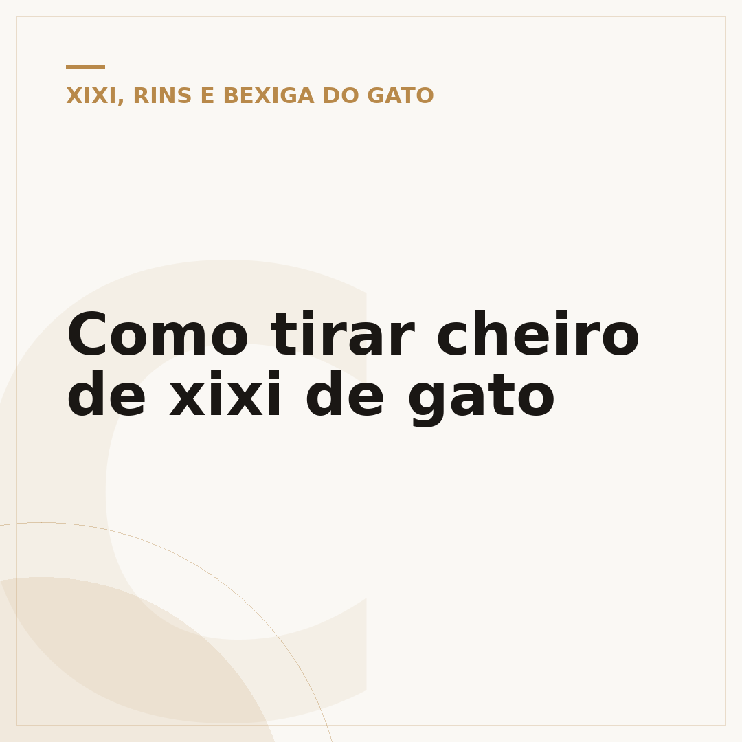 Como tirar cheiro de xixi de gato