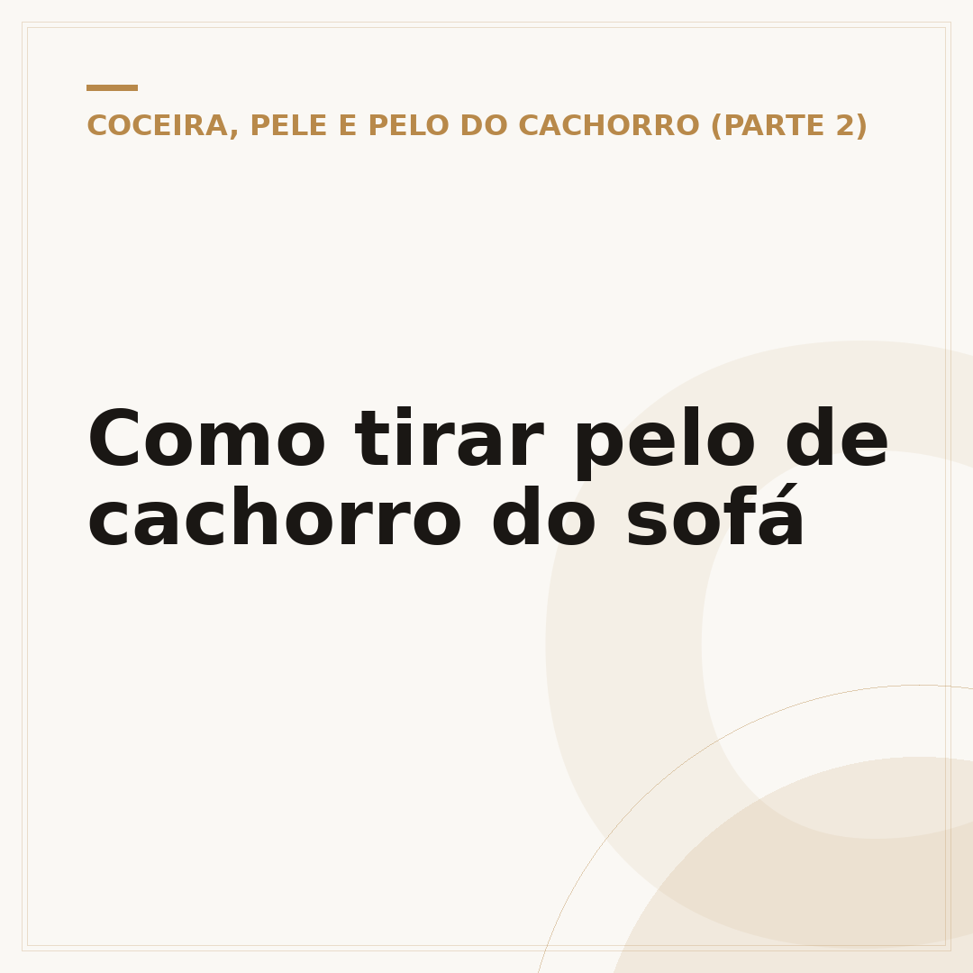 Como tirar pelo de cachorro do sofá