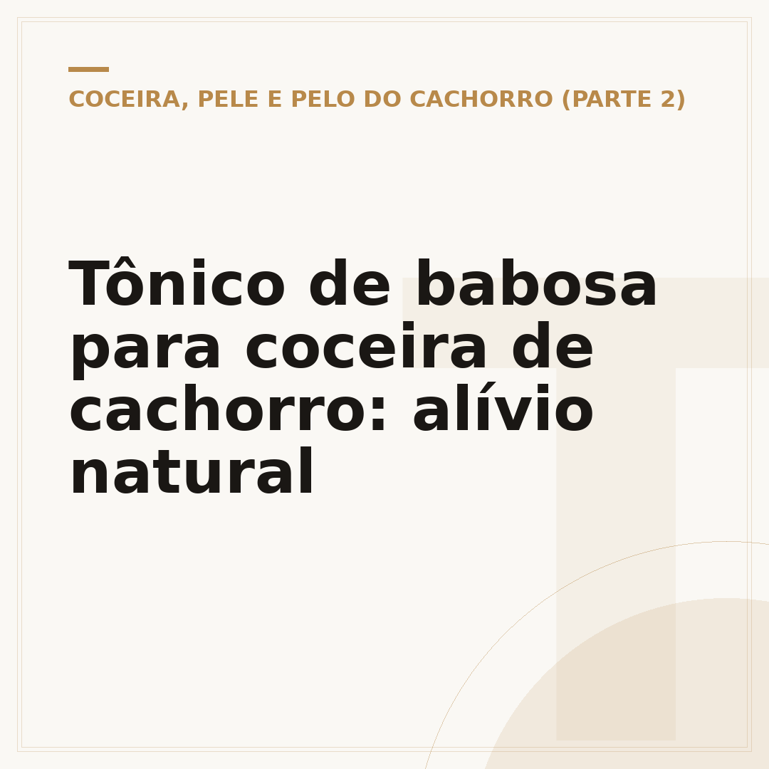 Tônico de babosa para coceira de cachorro: alívio natural