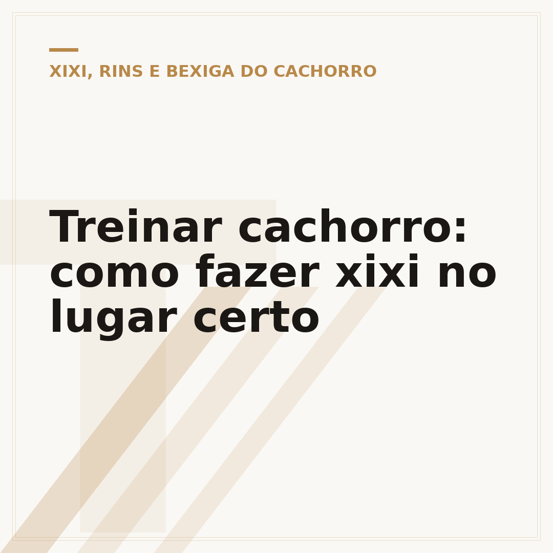 Treinar cachorro: como fazer xixi no lugar certo