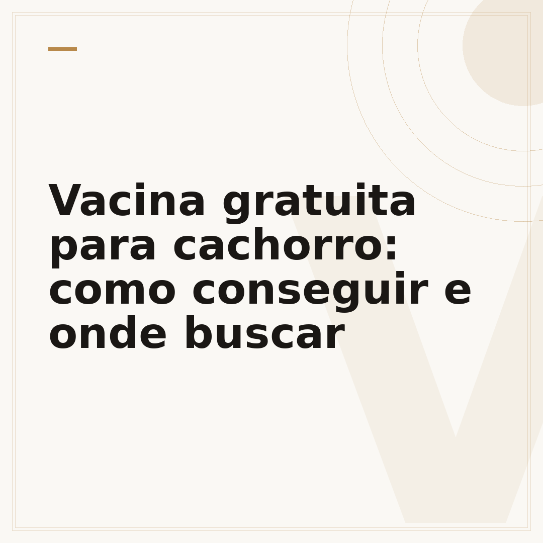 Vacina gratuita para cachorro: como conseguir e onde buscar