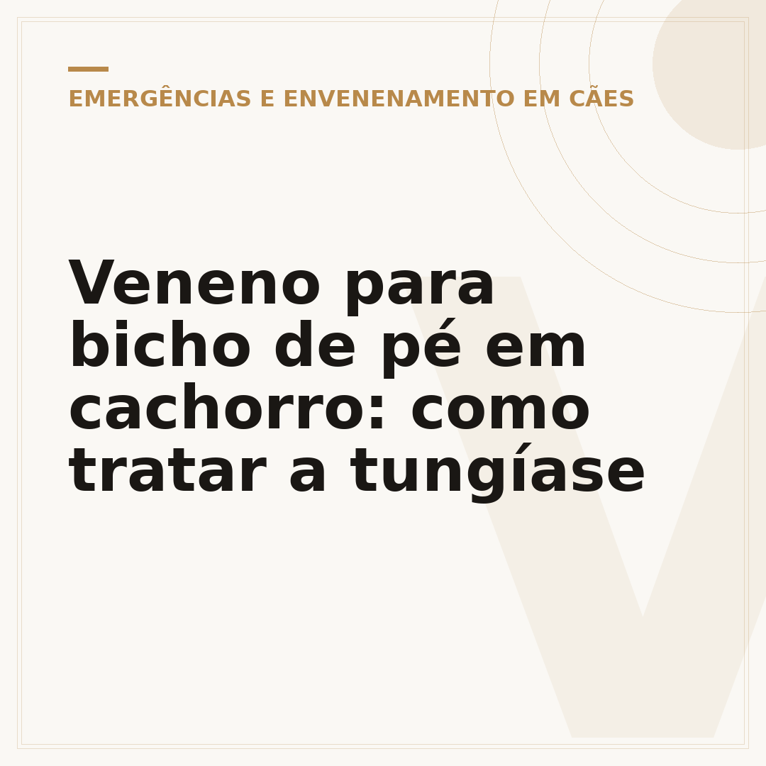 Veneno para bicho de pé em cachorro: como tratar a tungíase