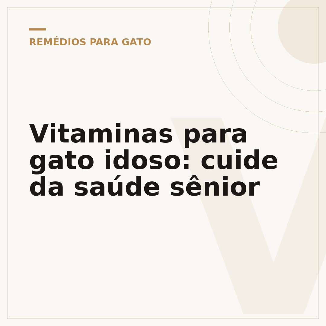 Vitaminas para gato idoso: cuide da saúde sênior